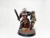 Warhammer 40k Black Templars Space Marine Indomitus Primaris Captain (Pro-Painted)