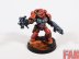 Warhammer 40k Space Marine Heroes Brother Garus (Pro-Painted)