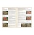 Middle-earth Strategy Battle Game Rules Manual (English)