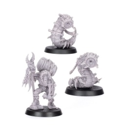 Outland Beastmaster with Millisaurs (предзаказ, GW Direct)
