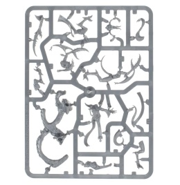 The Contorted Epitome (предзаказ 2025, GW Direct)