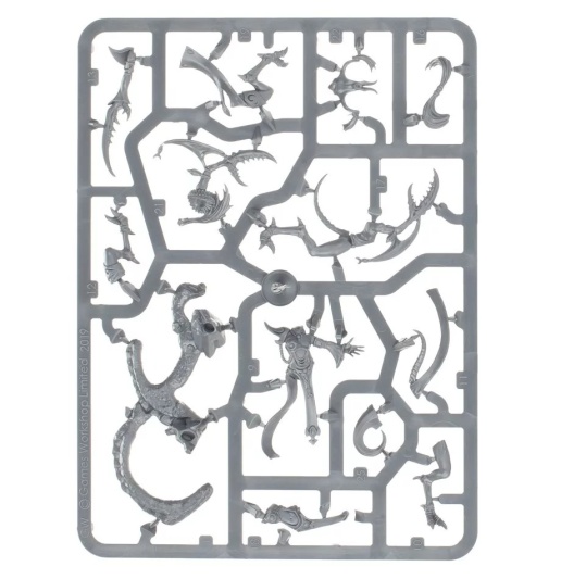 The Contorted Epitome (предзаказ 2025, GW Direct)