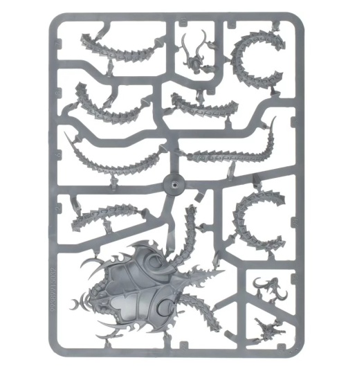 The Contorted Epitome (предзаказ 2025, GW Direct)