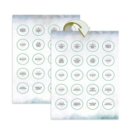 Warscroll Cards: Seraphon