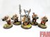 Warhammer Age Of Sigmar Ogor Mawtribes Tyrant and 4 Leadbelchers (Pro-Painted)