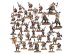 Vanguard: Beasts of Chaos (Age of Sigmar)