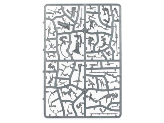 Pyre and Flood (Warcry)