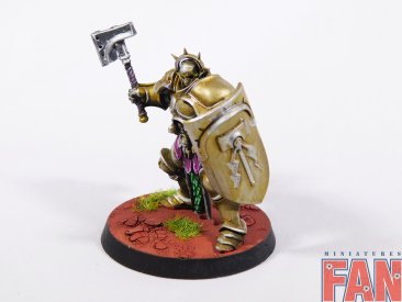 Warhammer Age of Sigmar Stormcast Eternals Liberators x5 (Pro-Painted)