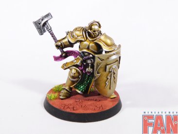 Warhammer Age of Sigmar Stormcast Eternals Liberators x5 (Pro-Painted)