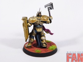 Warhammer Age of Sigmar Stormcast Eternals Liberators x5 (Pro-Painted)