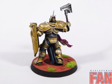 Warhammer Age of Sigmar Stormcast Eternals Liberators x5 (Pro-Painted)