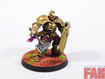 Warhammer Age of Sigmar Stormcast Eternals Liberators x5 (Pro-Painted)