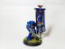 Warhammer 40k Space Marine Ancient (Pro-Painted)