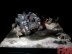 Warhammer 40k Space Wolves Land Raider &#039;&#039;The Hunt&#039;&#039; Diorama (Pro-Painted)