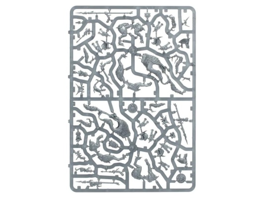 Gloomspite Gitz Snarlfang Riders (предзаказ 2025, Age of Sigmar)