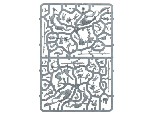 Gloomspite Gitz Snarlfang Riders (предзаказ 2025, Age of Sigmar)