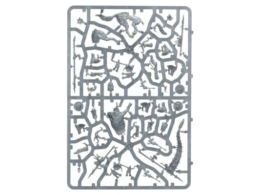 Gloomspite Gitz Snarlfang Riders (предзаказ 2025, Age of Sigmar)