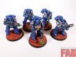 Warhammer 40k Ultramarines Heavy Intercessor Squad x5 (Pro-Painted)