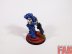 Warhammer 40k Ultramarines Heavy Intercessor Squad x5 (Pro-Painted)