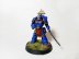 Warhammer 40k Space Marine Ultramarines Lieutenant Amulius (Pro-Painted)