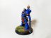 Warhammer 40k Space Marine Ultramarines Lieutenant Amulius (Pro-Painted)