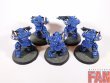 Warhammer 40000 Ultramarines Heavy Intercessor Squad x5 (Pro-Painted)