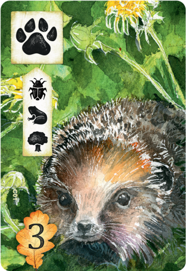 Настольная игра Поляна