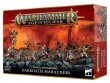 Darkoath Marauders