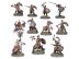 Darkoath Marauders