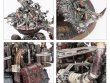 Spearhead: Ogor Mawtribes – Scrapglutt (предзаказ 2025)