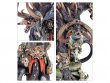 Darkoath Wilderfiend (GW Direct, предзаказ 2024)