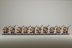 Warhammer Fantasy Battles Dwarf Thunderers x10 (99120205003) (Painted)