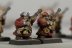 Warhammer Fantasy Battles Dwarf Thunderers x10 (99120205003) (Painted)