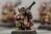 Warhammer Fantasy Battles Dwarf Thunderers x10 (99120205003) (Painted)