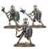 Spearhead: Ossiarch Bonereapers – Mortisan Elite