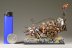 Warhammer Fantasy Battles Vampire Counts Corpse Cart x1 (Painted)
