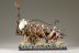 Warhammer Fantasy Battles Vampire Counts Corpse Cart x1 (Painted)