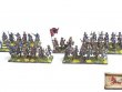 By Fire and Sword Imperial Skirmish Set