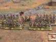 By Fire and Sword Imperial Skirmish Set