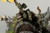 Warhammer Fantasy Battles Grot Wolf Chariot x1 (99810209018) (Metal, Painted)