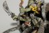 Warhammer Fantasy Battles Grot Wolf Chariot x1 (99810209018) (Metal, Painted)