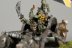 Warhammer Fantasy Battles Grot Wolf Chariot x1 (99810209018) (Metal, Painted)