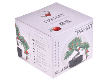Сад Радости: Бонсай Гранат