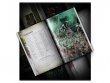 Battletome: Gloomspite Gitz (предзаказ 2023, Age of Sigmar)