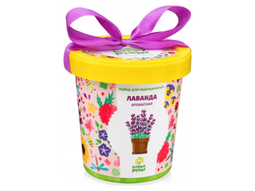 Горшок Лаванда ароматная