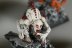 Warhammer Fantasy Battles Crypt Ghouls x5 (99120207032) (Painted)