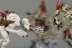 Warhammer Fantasy Battles Crypt Ghouls x5 (99120207032) (Painted)