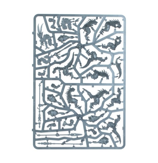 Spearhead: Seraphon – Sunblooded Prowlers