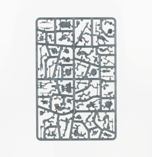 Spearhead: Seraphon – Sunblooded Prowlers