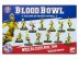Blood Bowl: Wood Elf Team - Athelorn Avengers